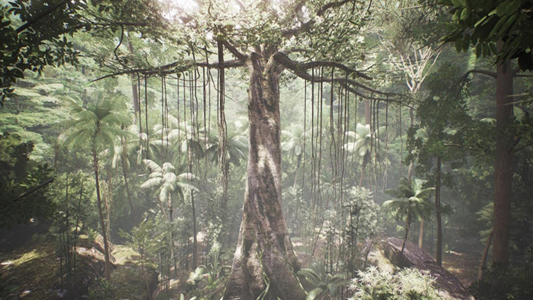 Διευρυμένη πραγματικότητα πάνω σε δέντρα