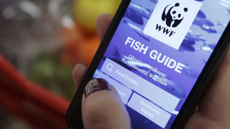 Fish Guide: Ο Οδηγός του WWF για υπεύθυνη «ψαροφαγία» ανανεώνεται!