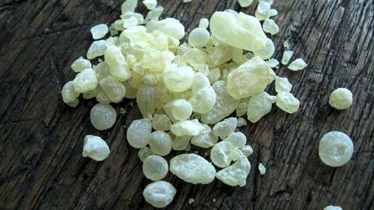 Δράσεις για την αύξηση της κατανάλωσης της ελληνικής μαστίχας στη Νότια Κορέα