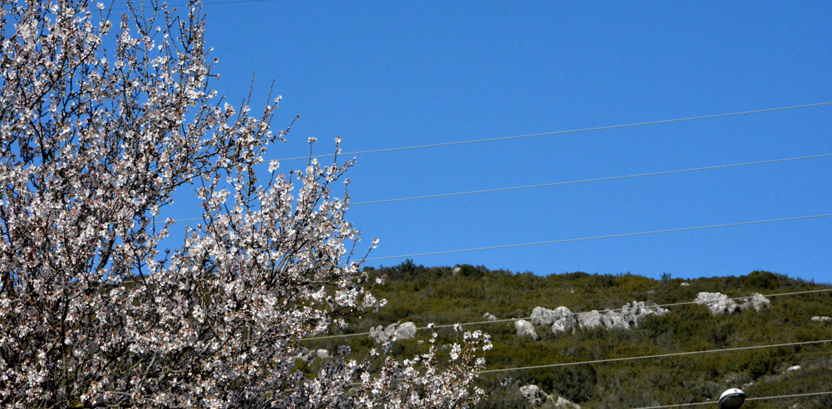 «Μύρισε» άνοιξη!