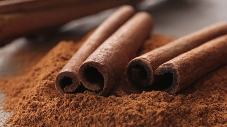 3+1 λόγοι να προσθέσετε την κανέλα στη διατροφή του σκύλου σας!