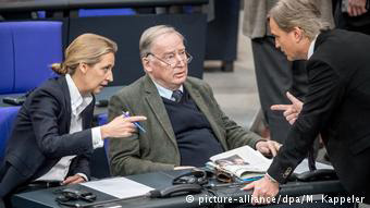 Έντονη κριτική ασκείται στο AfD για τον πρόχειρο και ανεπαρκή τρόπο με τον οποίο το κόμμα συντάσσει τις προτάσεις του. 