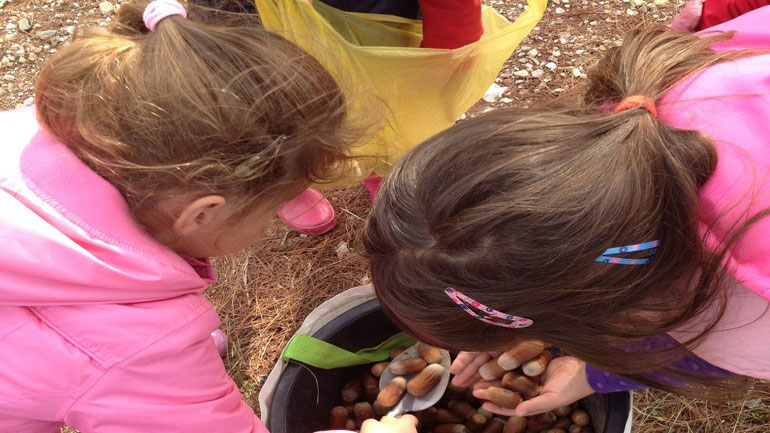 Εκδήλωση Βράβευσης σχολείων του Διεθνούς Θεματικού Δικτύου Π.Ε. «Μαθαίνω για τα Δάση»