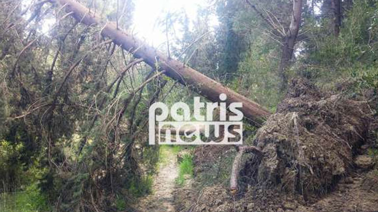 Συνεχίζονται οι κατολισθήσεις στο βουνό του Κατακόλου