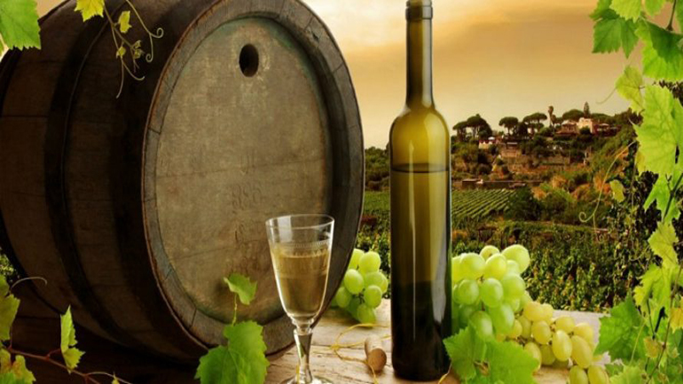 Οι προοπτικές των εξαγωγών ελληνικών κρασιών στην Γενική Συνέλευση του Συνδέσμου Ελληνικού Οίνου