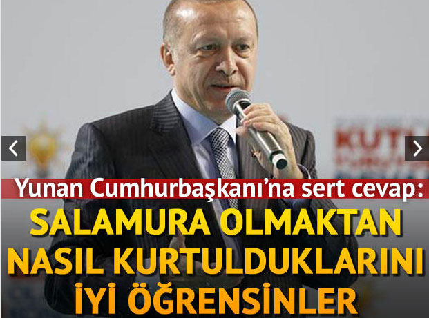 Τα λεγόμενα Ερντογάν έλαβαν μεγάλες διαστάσεις στην Τουρκία με τίτλους όπως: «Απάντηση στον πρόεδρο της Ελλάδας: Να μάθουν καλά πως γλύτωσαν από το να γίνουν σαλαμούρα»