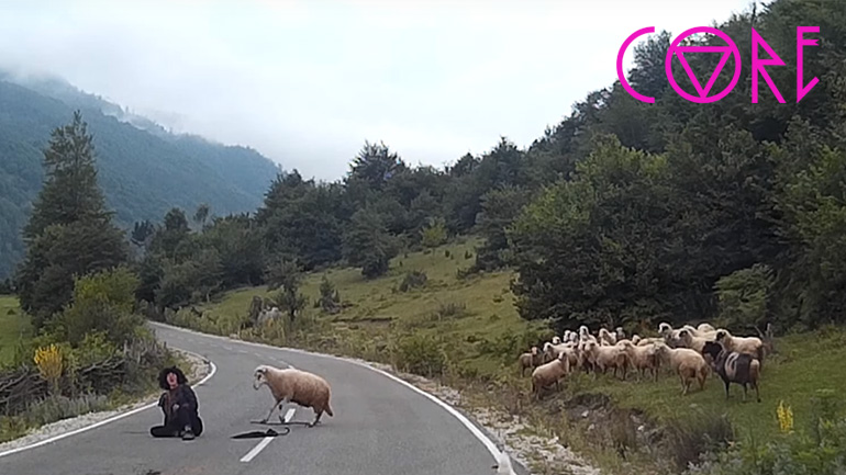 Το πρόβατο δολοφόνος επιτίθεται