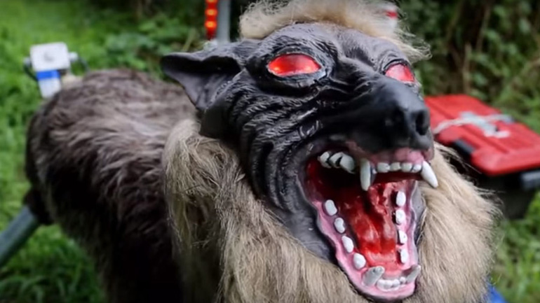 Λύκοι – ρομπότ θα προστατεύουν τις καλλιέργειες στην Ιαπωνία!