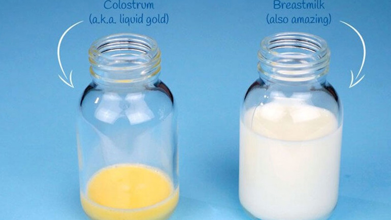 Η ευεργετική δράση του πρωτογάλακτος στην υγεία του ανθρώπου