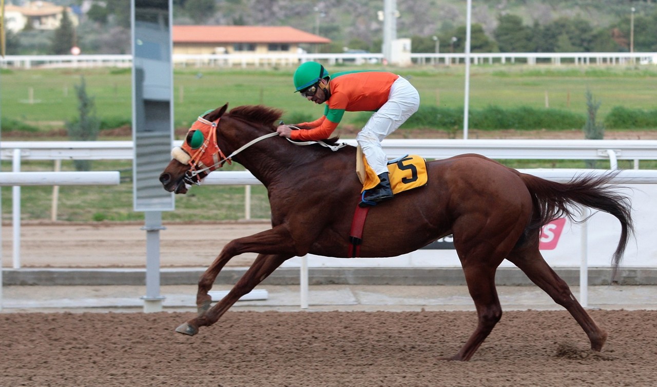 ΜΕΝΤΙΣΙΑΝ ΝΤΡΗΜ, ένας από τους διεκδικητές του κυπέλλου IRISH THOROUGHBRED MARKETING.