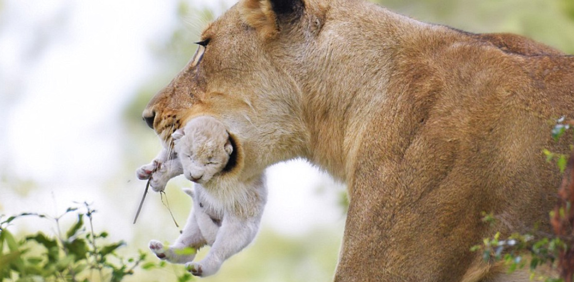 To “καμάρι” της μαμάς
