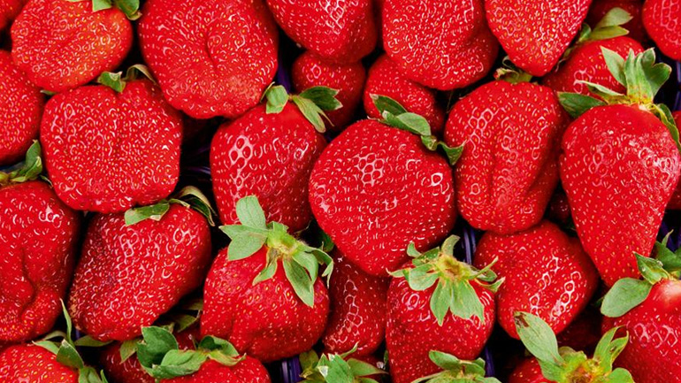 Δέσμευση 1.800 κιλών φράουλας άγνωστης προέλευσης στον Πειραιά