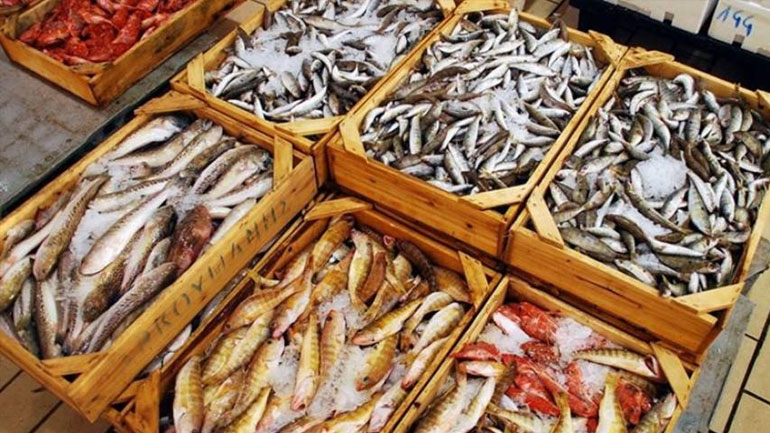 Δέσμευση αλιευμάτων βάρους 384 κιλών στο λιμάνι του Πειραιά