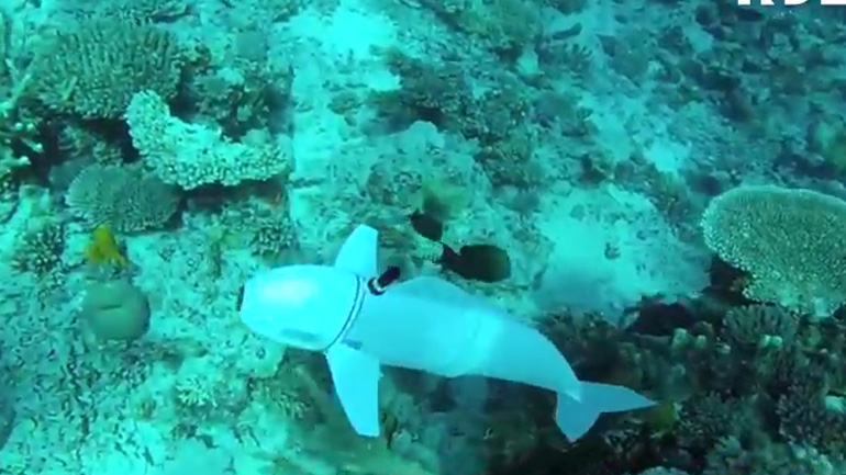 Το πρώτο ρομποτικό ψάρι που έχει… κατακτήσεις!