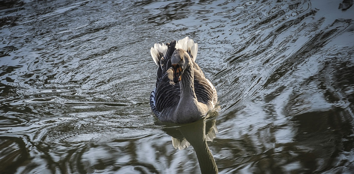 Παγκόσμια Ημέρα Νερού