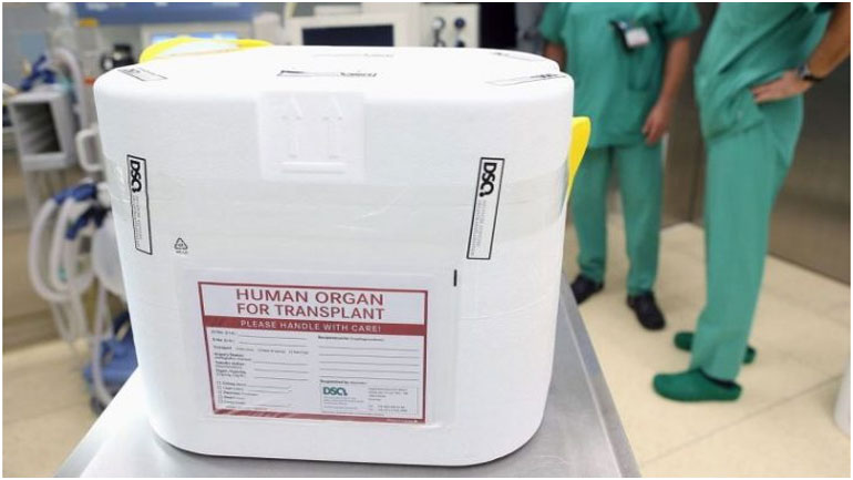 Έδωσε ζωή σε πέντε συνανθρώπους μας με τον θάνατό της Έδωσε ζωή σε πέντε συνανθρώπους μας με τον θάνατό της