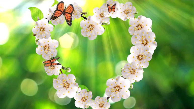 Οι προβλέψεις για τα αισθηματικά σου αυτή την εβδομάδα