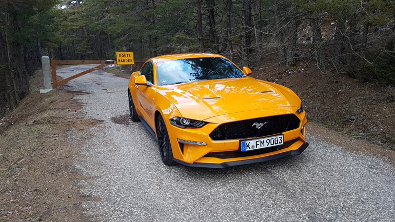 Τη βλέπεις, σε βλέπει, σου φτιάχνει η μέρα...