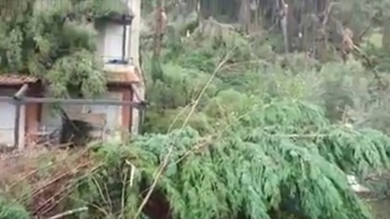 Ανεμοστρόβιλος σάρωσε τα πάντα στο πέρασμά του από τη Χαλκιδική