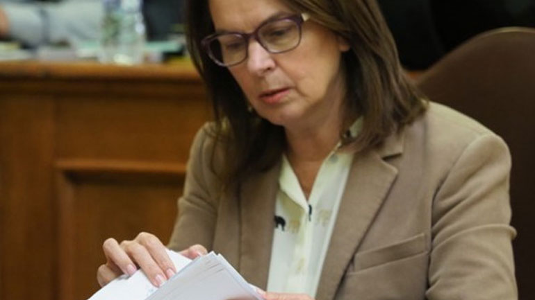 Παπανάτσιου από Θεσσαλονίκη: Σημαντική η αγορά των Βαλκανίων