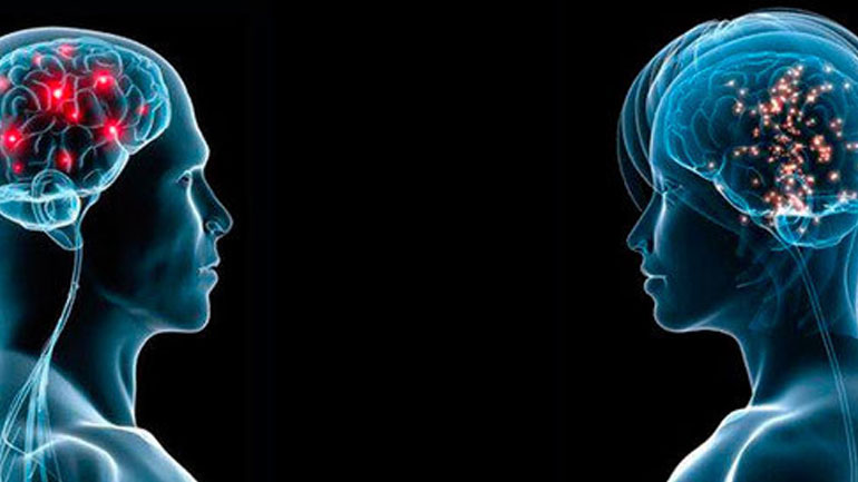 Υπάρχει ανδρικός και γυναικείος εγκέφαλος; Υπάρχει ανδρικός και γυναικείος εγκέφαλος;