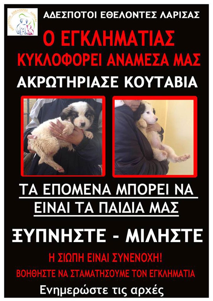 Το φιλοζωικό σωματείο καλεί τους πολίτες της Λάρισας να καταγγέλουν όλα τα αντίστοιχα περιστατικά στις Αρχές