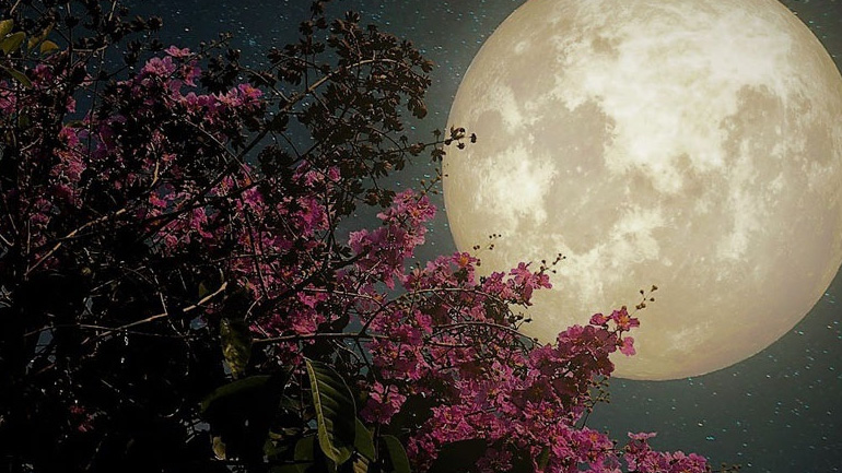 Πανσέληνος στον Ζυγό στις 31 Μαρτίου – Προβλέψεις για τα ζώδια