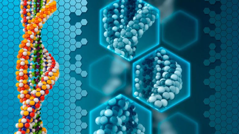 Επιγενετική και παχυσαρκία