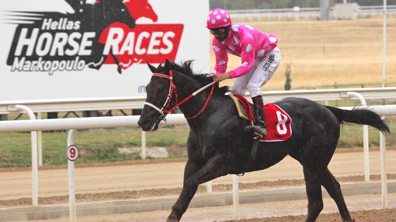 ΠΑΡΤΥ ΤΑΪΓΚΕΡ