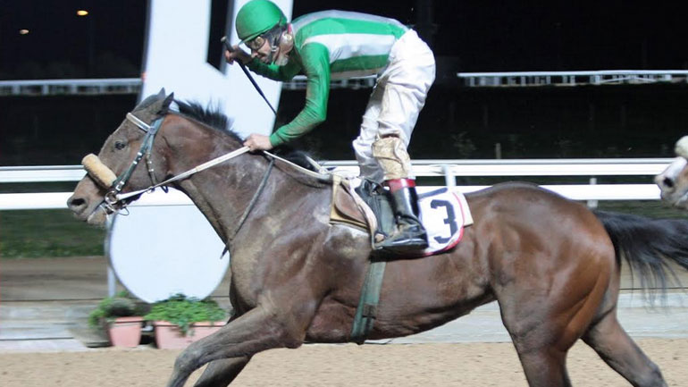 O ΠΟΕΤΙΚ ΓΚΕΣΤ