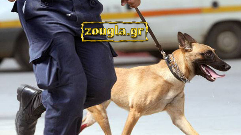 Νίκαια: Επιχείρηση του Λιμενικού σε διαμέρισμα επικίνδυνου εμπόρου ναρκωτικών από την Αλβανία