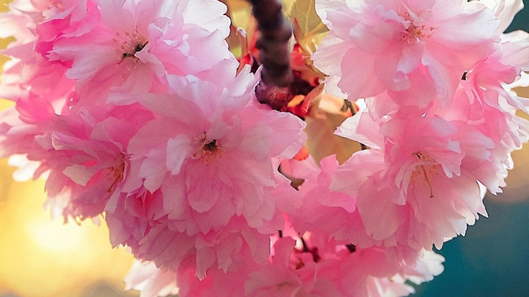 Οι προβλέψεις για τα αισθηματικά σου αυτήν την εβδομάδα