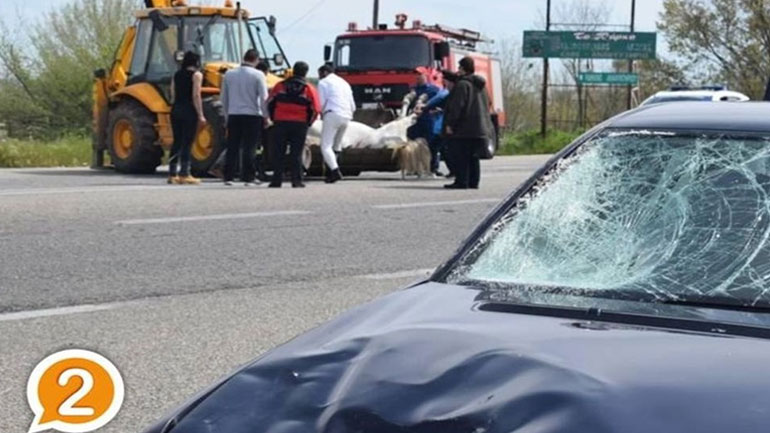 Άλογο συγκρούστηκε με αυτοκίνητα στην Ε.Ο. Ξάνθης – Κομοτηνής Άλογο συγκρούστηκε με αυτοκίνητα στην Ε.Ο. Ξάνθης – Κομοτηνής
