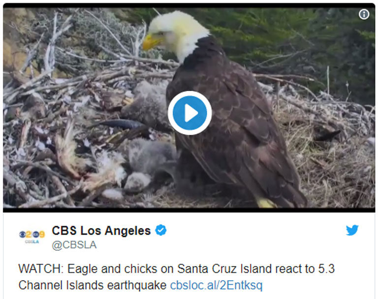 H δημοσίευση από το CBS