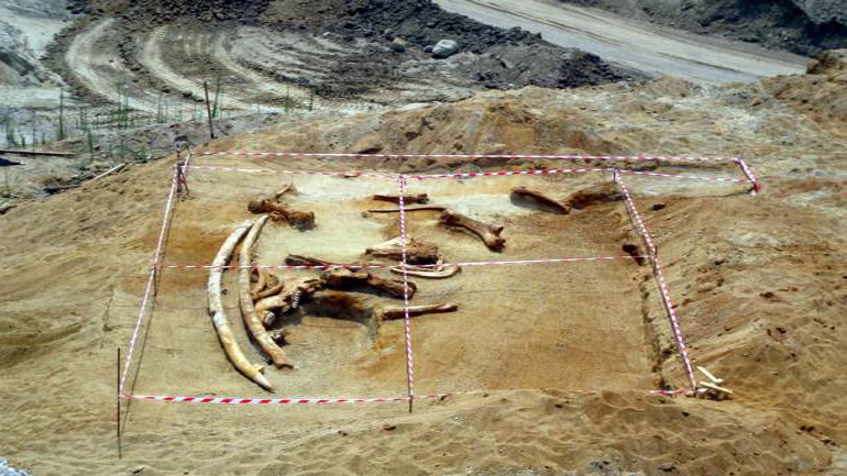 Γρεβενά: Στο κυνήγι των ελεφάντων πριν από 3,5 εκατ. χρόνια Γρεβενά: Στο κυνήγι των ελεφάντων πριν από 3,5 εκατ. χρόνια