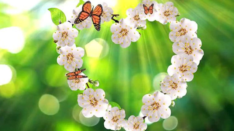 Οι προβλέψεις για τα αισθηματικά σου αυτή την εβδομάδα