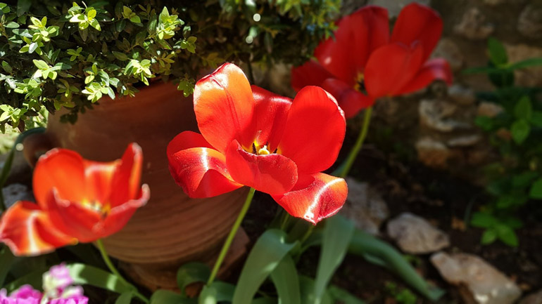 Χρώματα και αλλαγή διάθεσης...