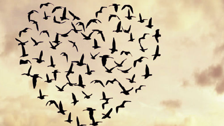 «Τουϊτέρατα»