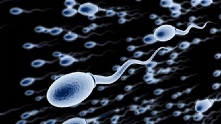 Η μαγνητική απεικόνιση του ουρογεννητικού και η ανδρική γονιμότητα