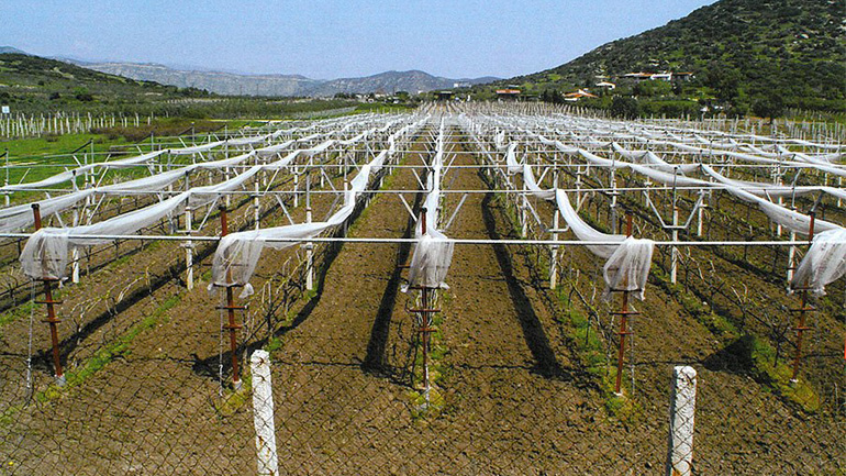 Ξεκινούν από τις 23 Απριλίου οι αιτήσεις για τα συστήματα πρόληψης ζημιών