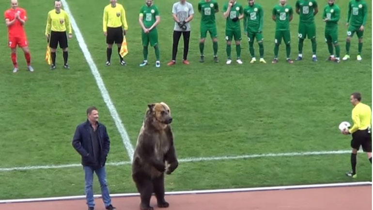 Αρκούδα «οργάνωσε» κερκίδα σε αγώνα στη Ρωσία!