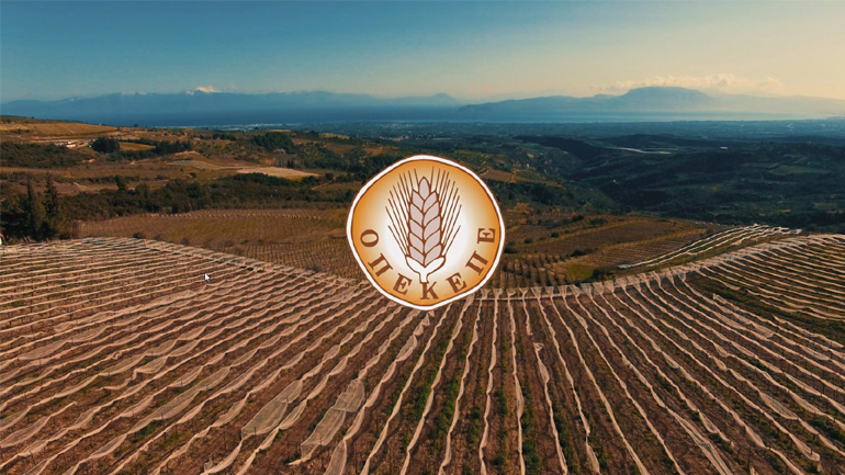 Μέχρι τις 30/5 η υποβολή των συμβάσεων για τις βιολογικές καλλιέργειες υπενθυμίζει ο ΟΠΕΚΕΠΕ