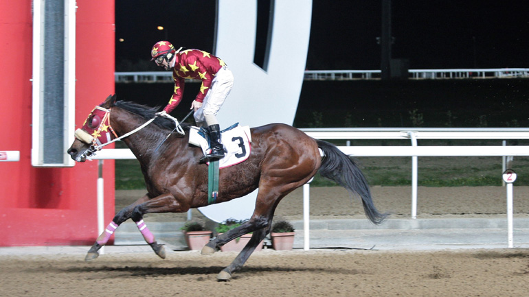 Επτά ιπποδρομίες στο Μαρκόπουλο