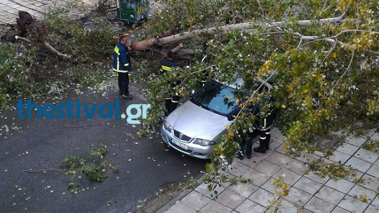 Θεσσαλονίκη: Νεκρός άνδρας από πτώση δέντρου στην Εγνατία Οδό
