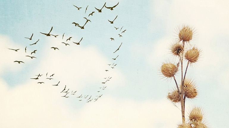 Οι προβλέψεις για τα αισθηματικά σου αυτήν την εβδομάδα