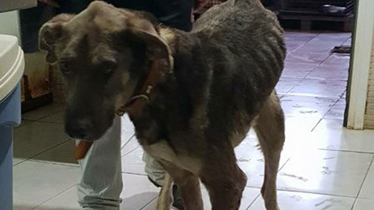 Ο πληγωμένος Όλυμπος ψάχνει μία ζεστή αγκαλιά