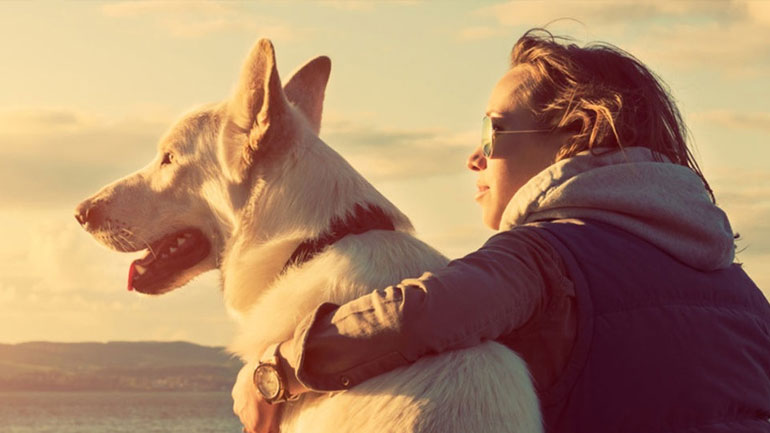 Ο σκύλος «σώζει» και από καρδιακά!