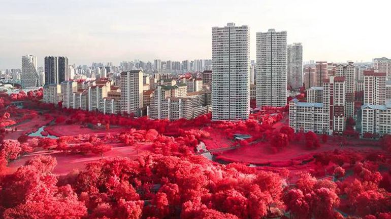 Κόκκινη φαντασμαγορία στη Σιγκαπούρη Κόκκινη φαντασμαγορία στη Σιγκαπούρη