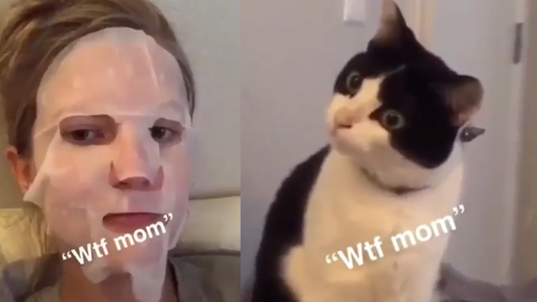 Τρελάθηκε το γατί!