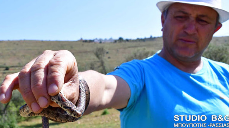 Ένας… γητευτής φιδιών στο Ναύπλιο!
